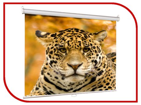 Экран Lumien Eco Picture LEP-100105 160x160cm Matte White