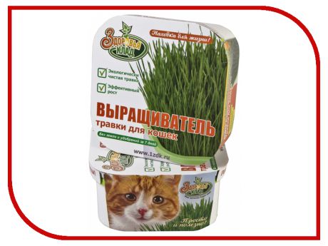 Аэросад Здоровья КЛАД для зеленой травки для кошек