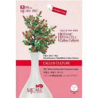 Mijin BSC Resurrection Plant Essence Mask - Маска тканевая с миротамнусом, 25 г
