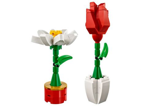 Сувенирный набор LEGO LEGO 40187 Сувенирный набор Комнатные цветы
