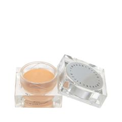 Консилер Chantecaille Total Concealer Nude (Цвет Nude variant_hex_name EBBF9E)