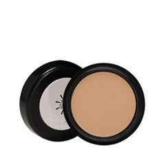 Консилер Missha The Style Perfect Concealer 23 (Цвет 23 Natural Beige variant_hex_name CCA98B)