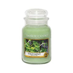 Ароматическая свеча Yankee Candle Wild Mint Jar Candle (Объем 623 г)