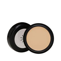 Консилер Missha The Style Perfect Concealer 21 (Цвет 21 Light Beige variant_hex_name DFC4A7)