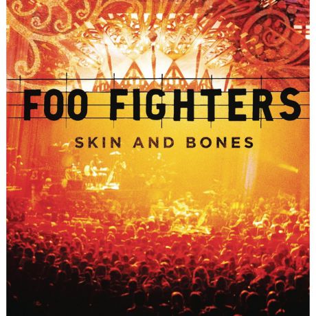 Виниловая пластинка Foo Fighters Skin And Bones