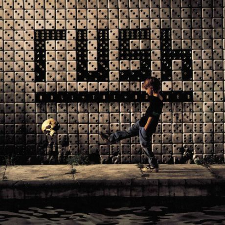 Виниловая пластинка Rush Roll The Bones