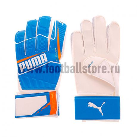 Перчатки Puma Перчатки вратарские Puma EvoSpeed 5.4 04117102
