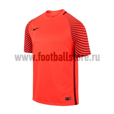 Свитера Nike Вратарская футболка Nike SS Garden JSY 725889-671