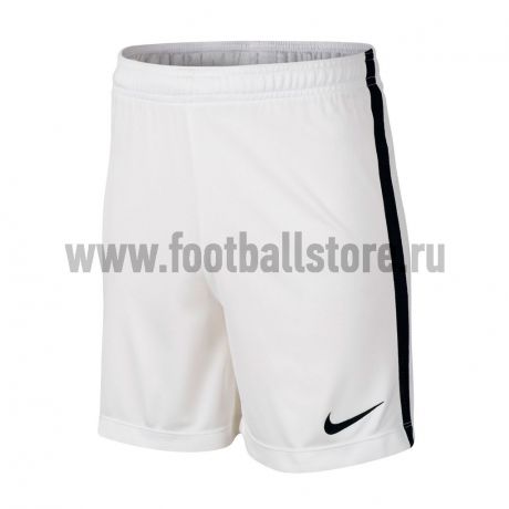 Тренировочная форма Nike Шорты тренировочные Nike Boys Academy 832901-101