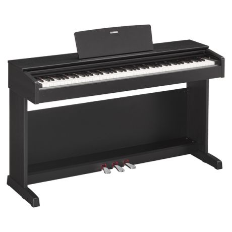 Цифровое пианино Yamaha YDP-143B