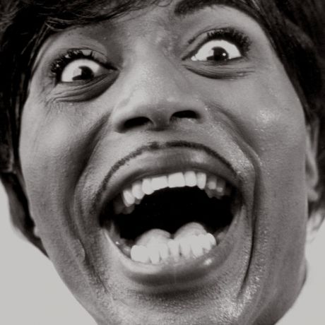 Little Richard Little Richard - Mono Box: The Complete Specialty And Vee-jay Albums (5 LP)