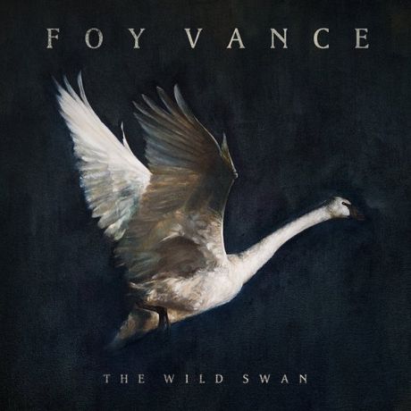Foy Vance Foy Vance - The Wild Swan (180 Gr)