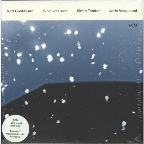 Tord Gustavsen Tord Gustavsen - Tord Gustavsen: What Was Said (2 LP)