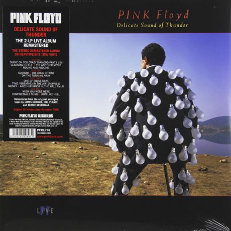 Pink Floyd Pink Floyd - Delicate Sound Of Thunder (2 LP)