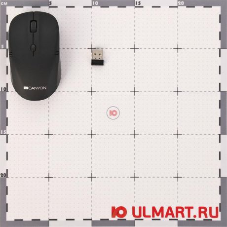 мышь Canyon CNE-CMSW03B Black USB