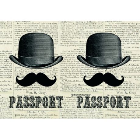 Феникс Презент Обложка для паспорта "Джентельмен" ПВХ 13,3*19,1см 35674