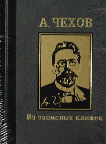 Из записных книжек