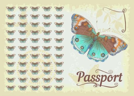 Обложка для паспорта Фора кожаная 13,2*18,6см 20072