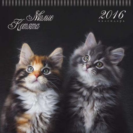 Календарь на 2016г. Домашние любимцы. Милые котята 36*34см на спирали