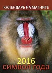 Календарь на 2016 год на магните Символ года. Вид 1