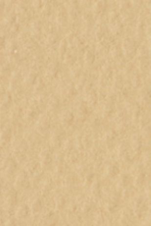 Бумага для пастели А4 Tiziano 160 г /песочный F-21297106