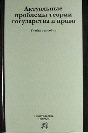 Шагиева Р.В. Актуальные проблемы теории государства и права: учеб. пособие