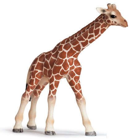 Игрушка, SCHLEICH, Фигурка Животные из зоопарка. Детеныш жирафа