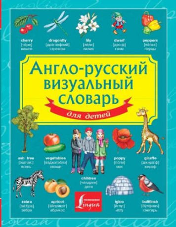 Вертягина А.А. Англо-русский визуальный словарь для детей