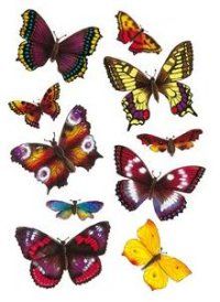 HERMA Наклейки MAGIC Экзотические бабочки 3D