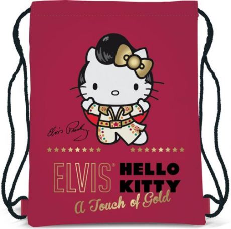 Сумка-рюкзак для обуви, Hello Kitty, 43х34 см, HKAB-RT1-883