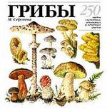 Сергеева М.Н. Грибы: 250 видов съедобных, ядовитых и лечебных грибов