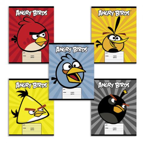 Тетрадь, Хатбер Серия "Angry Birds", А5, 18 листов, линейка