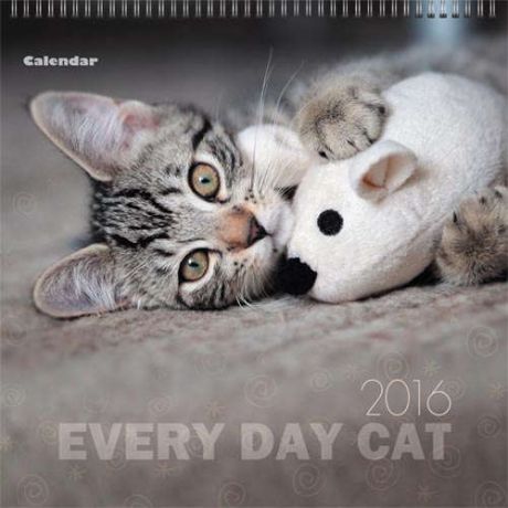 Календарь на 2016г. Домашние любимцы. Озорные кошки 19,5*19см на спирали
