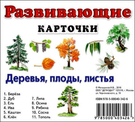 Меньшиков, И.Б. Деревья, плоды, листья