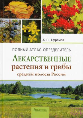 Ефремов, Александр Павлович Лекарственные растения и грибы средней полосы России