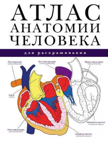 Абрахамс П. Атлас анатомии человека для раскрашивания