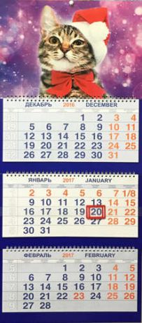 Календарь, Каро, Трио на 2017г Животные Котёнок в колпаке 310*870мм 3-х блочный на спирали