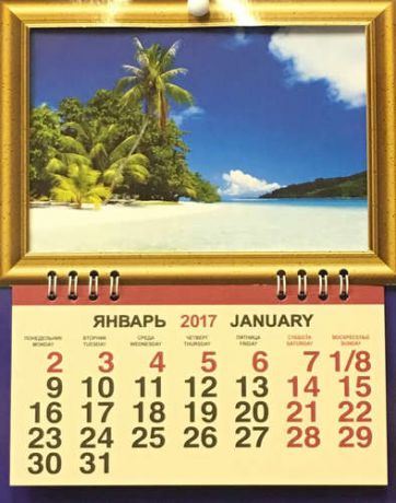 Календарь, Каро, фоторамка на 2017г Природа Пальмы 165*210мм 1 блок на спирали