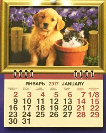 Календарь, Каро, фоторамка на 2017г Животные Котёнок со щенком 165*210мм 1 блок на спирали