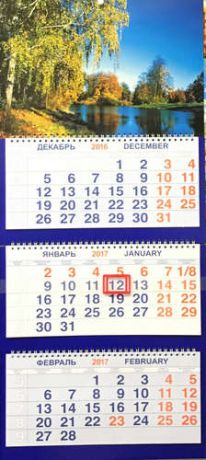 Календарь, Каро, Трио на 2017г Природа Берёза у озера 310*870мм 3-х блочный на спирали