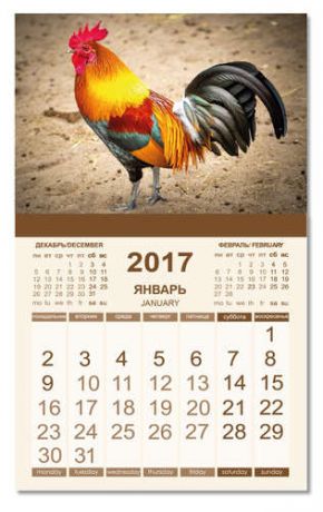 МИНИМАКС Календарь Магнитный Символ года 2017 Оранжевый петух на песке