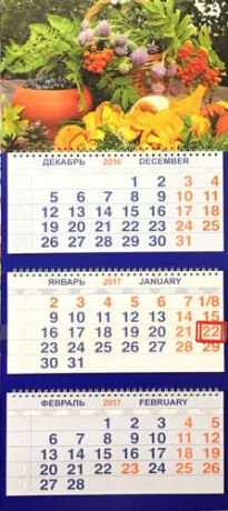 Календарь, Каро, Трио на 2017г НатюрмортДары осени 310*870мм 3-х блочный на спирали