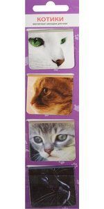 Магнитные закладки Кошки