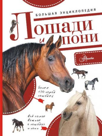 Белинг, Сильке Большая энциклопедия. Лошади и пони