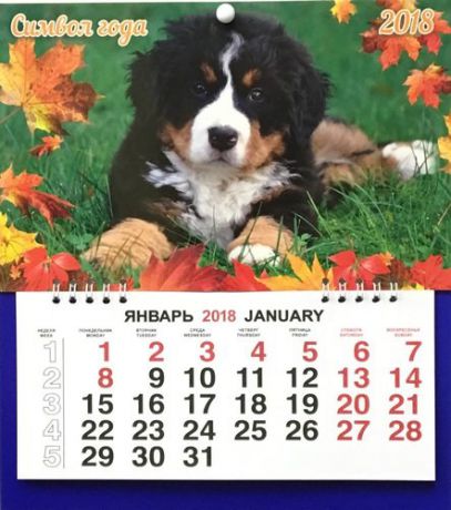 Календарь малый на 2018г."СГ"Бернский щенок" 23*26см на спирали