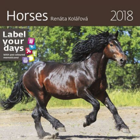 Календарь на 2018 год КО: Horses (Лошади) 30х30см, на спирали