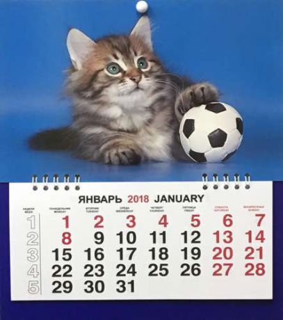 Календарь малый на 2018 г.ЖивотныеКотёнок с мячом 23*26см на спирали