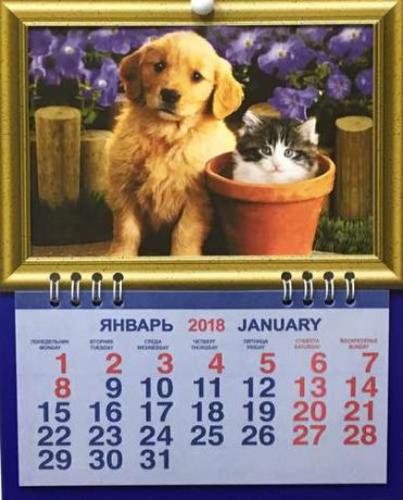 Календарь фоторамка на 2018 ЖивотныеКотёнок со щенком 16,5*21см, 1 блок на спирали