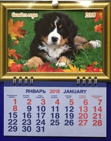 Календарь фоторамка на 2018г. "СГ"Бернский щенок" 16,5*21см, 1 блок на спирали