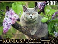 Пазл Konigspuzzle 500 эл Британская голубая кошка ГИК500-8303